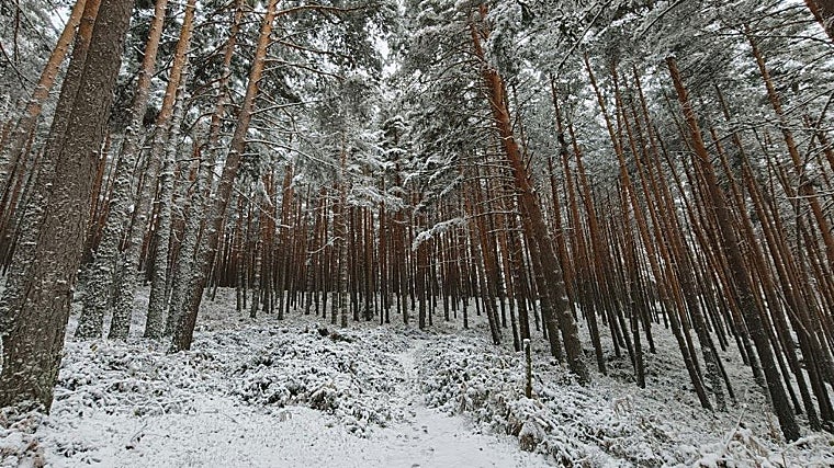 Imagen tomada con la cámara principal